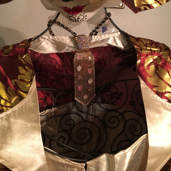 Halloween Bests Mad Hatter Deluxe Costume W/XTRAS - Picture 7 of 8